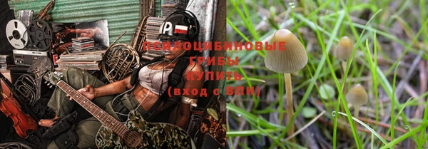 ALPHA-PVP Богородицк